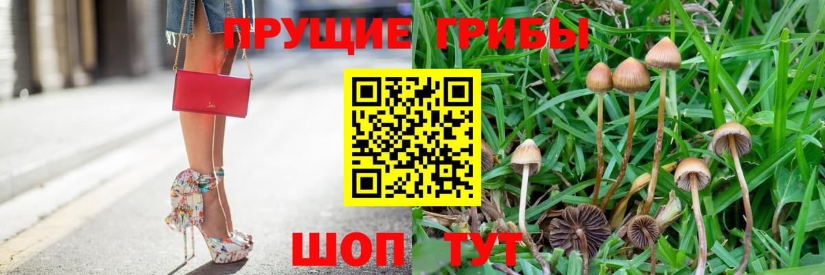 Псилоцибиновые грибы мицелий  Вход с VPN  Вольск 